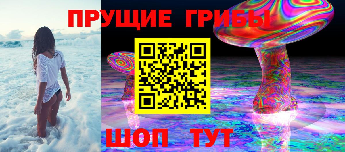 Сунжа  Галлюциногенные грибы Psilocybe  Псилоцибиновые грибы GOLDEN TEACHER  Вход с VPN 